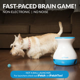 iFetch Frenzy Brain Game