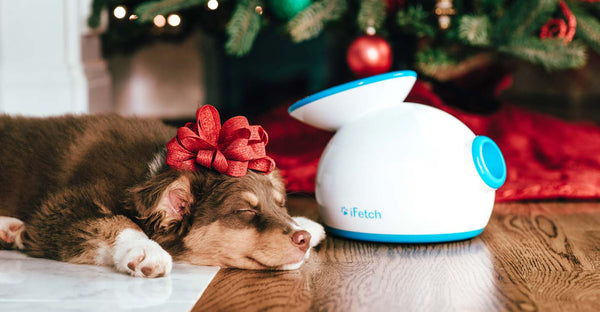 The 2017 iFetch Pet Gift Guide