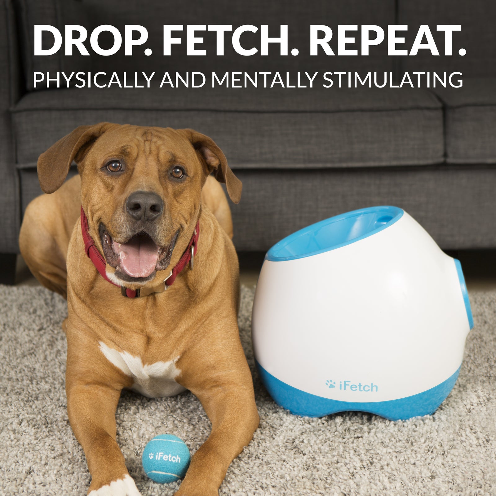 iFetch Too Ball Launcher